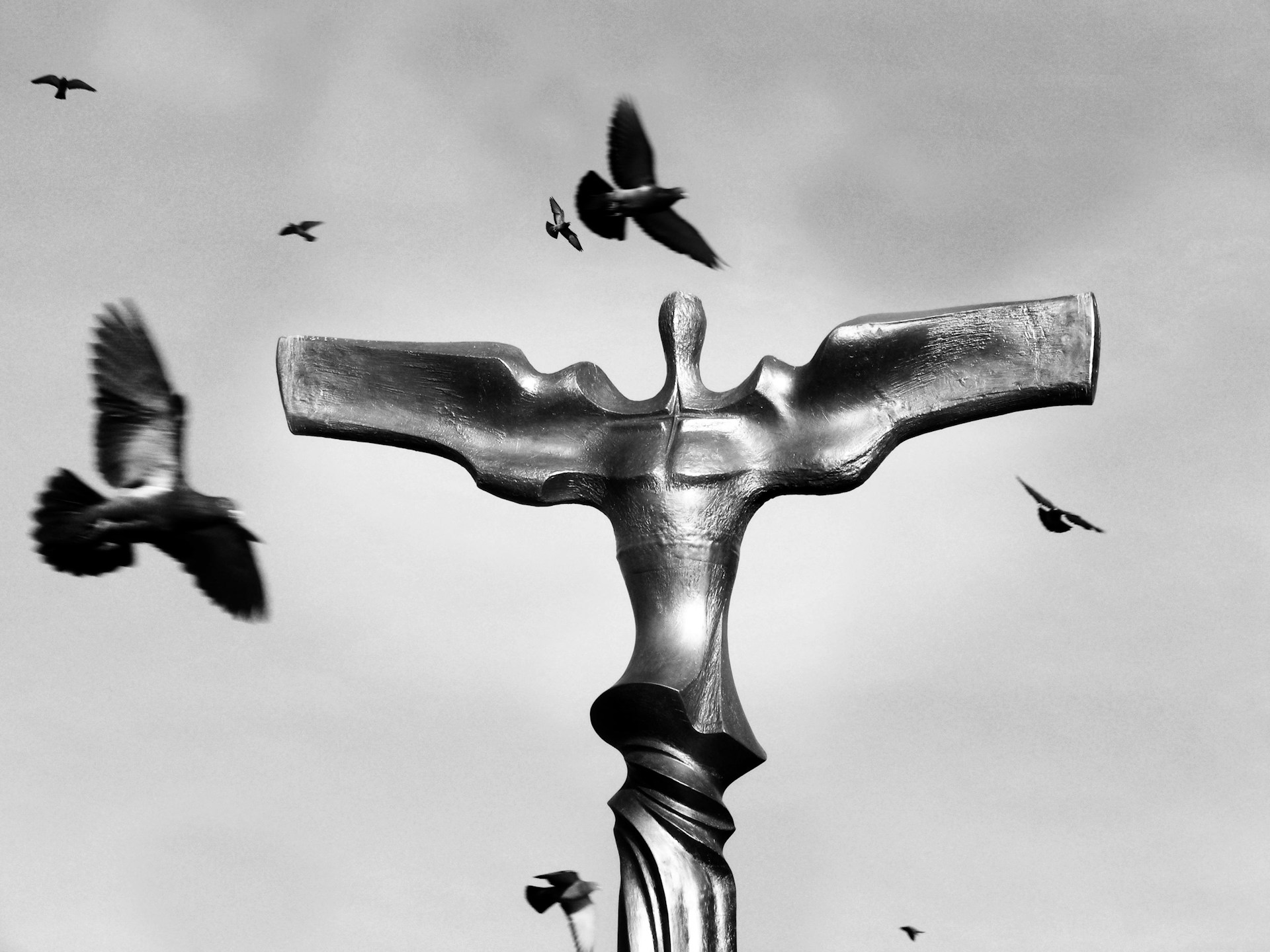 mircea-solomiea-A Itv4gxVbk-un