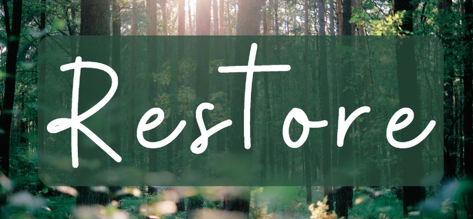 Restore